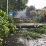 Maltempo nel Comasco, 60 interventi dei vigili del fuoco