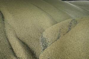 L\'esportazione del grano dall\'Ucraina