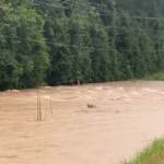 Usa, maltempo al sud: piogge e allagamenti in Alabama e Mississippi