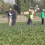 California, ondata di caldo nello stato