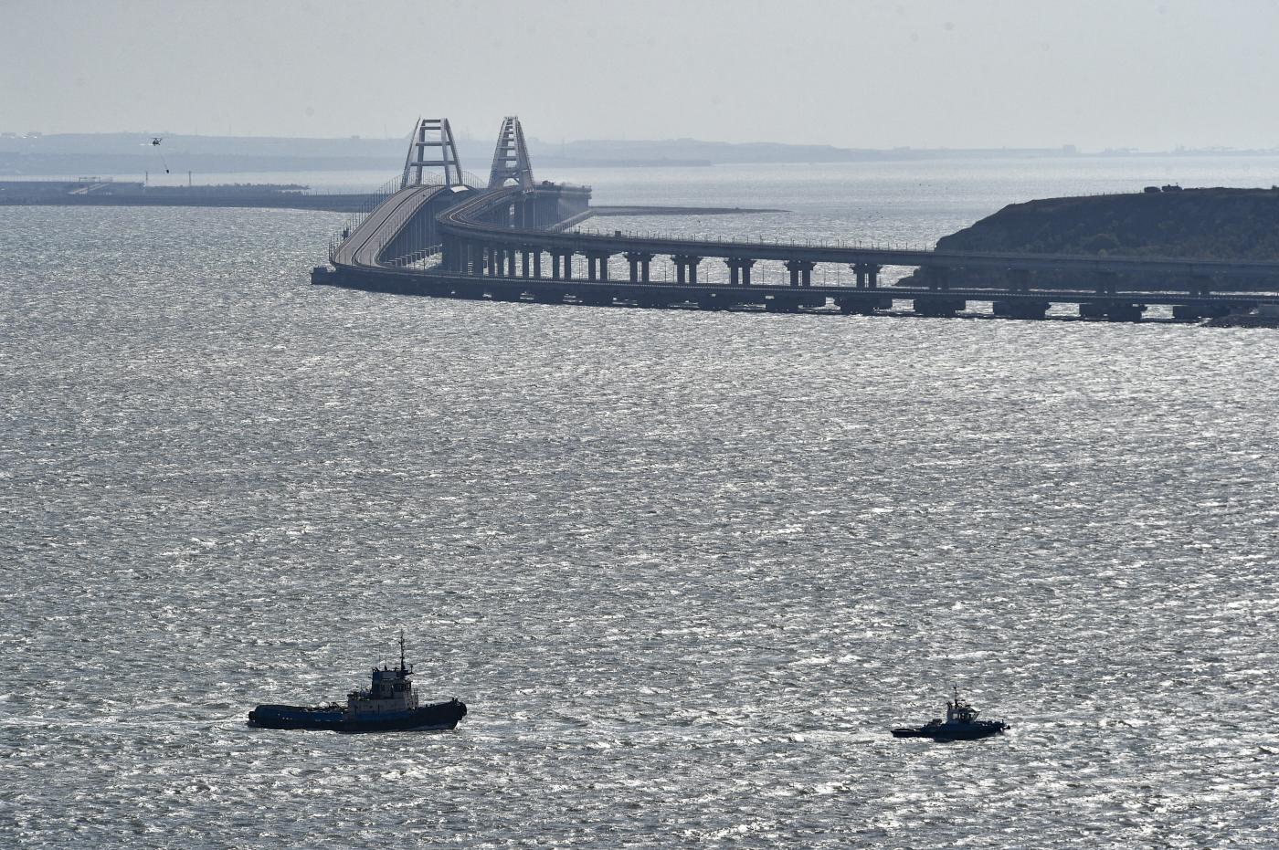 Grano, Kiev: navi verso porti russi saranno considerate come militari Grano, Kiev: navi verso porti russi saranno considerate come militari