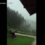 Maltempo, downburst in Cadore travolge e abbatte alberi