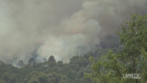 Incendi in Grecia, vigili del fuoco ancora al lavoro: roghi fuori controllo
