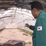 Sud Corea, presidente Yoon Suk Yeol visita le aree alluvionate