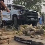 Pakistan, attentato suicida a Peshawar: 8 feriti