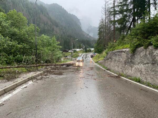 Maltempo, in Cadore tromba d’aria e downburst nelle zone di Vaia