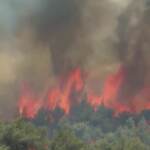 Grecia, enormi incendi ad Atene: le immagini della devastazione