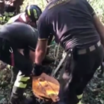 Maltempo Veneto, 350 chiamate ai vigili del fuoco: 190 interventi in poche ore