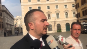 Salario minimo, Molinari: “Non serve fissarlo per legge”