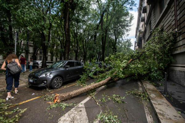 Maltempo a Milano, forte tempesta causa ingenti danni