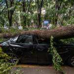 Maltempo a Milano, forte tempesta causa ingenti danni
