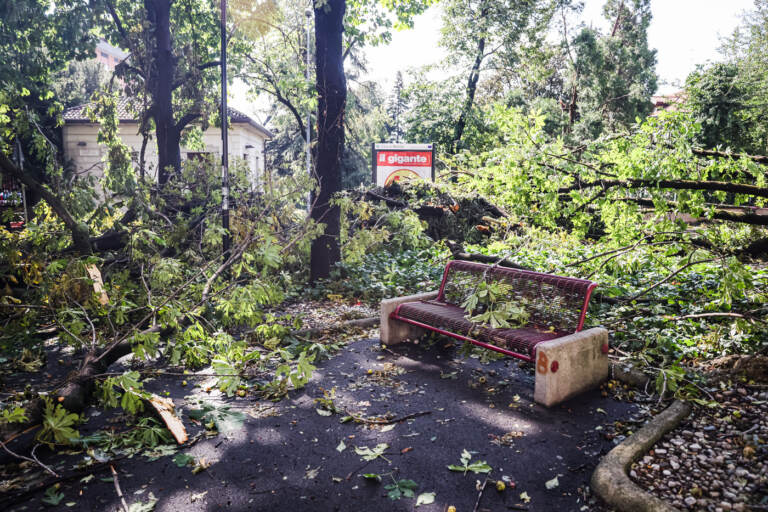 Maltempo a Milano, forte tempesta causa ingenti danni