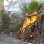 Calabria, gli incendi non risparmiano neanche l’Alto Tirreno cosentino