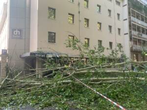 Tempesta a Milano, platano distrugge l’ingresso di un albergo