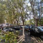 Roma, albero cade su Lungotevere: 2 donne ferite