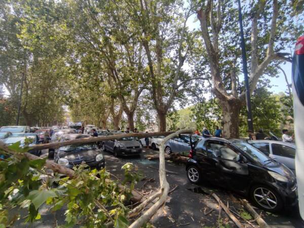 Roma, albero cade su Lungotevere: 2 donne ferite