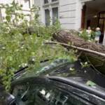 Nubifragio Milano, alberi caduti su auto in pieno centro