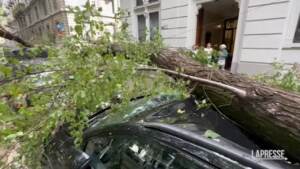 Nubifragio Milano, alberi caduti su auto in pieno centro