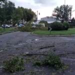 Maltempo a Milano, alberi caduti e traffico in tilt vicino ai Navigli