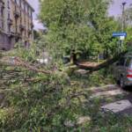Nubifragio Milano, Confcommercio: 2 milioni di euro di danni