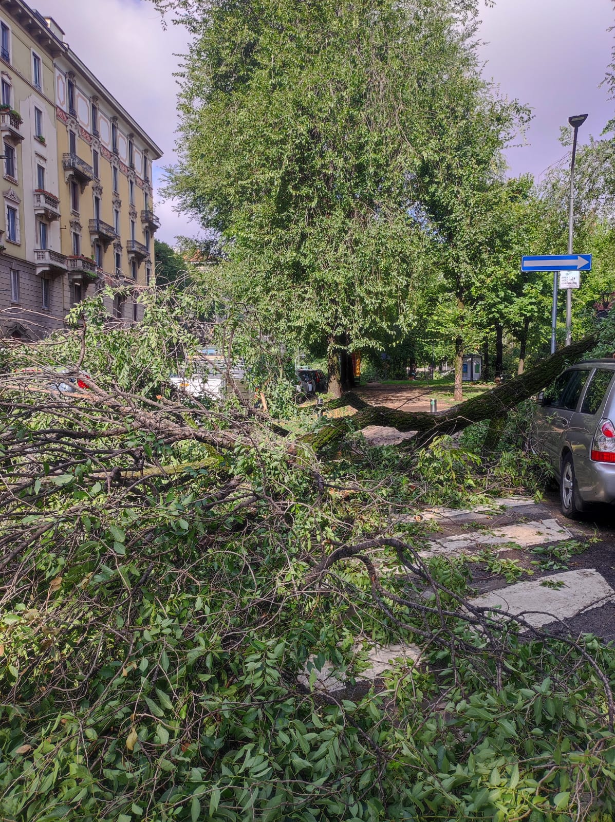 Nubifragio Milano, Confcommercio: 2 milioni di euro di danni