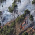 Incendi, bruciano le colline intorno a Palermo