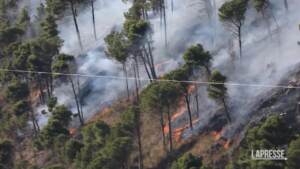 Incendi, bruciano le colline intorno a Palermo