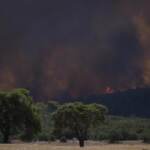 Incendi Grecia, notte d’inferno a Rodi: allerta roghi in 6 regioni