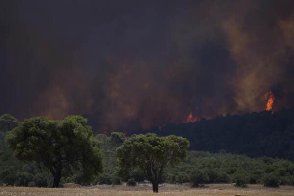 La devastazione dopo i terribili incendi dei giorni scorsi in Grecia