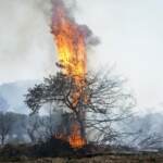 La Grecia devastata dagli incendi