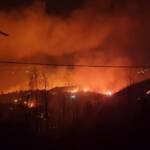 Incendi, Coldiretti: “15 anni per ricostruire i boschi distrutti”