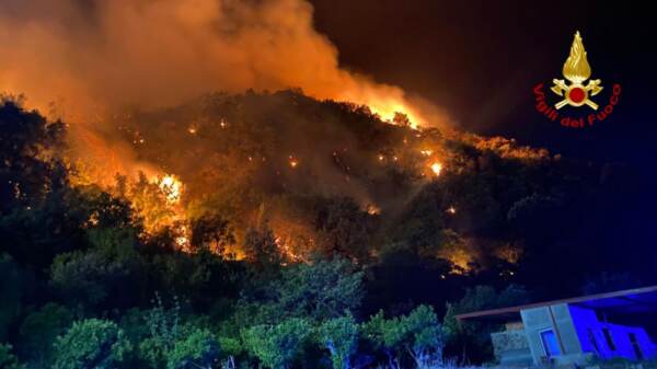 Incendi nella zona di Palermo