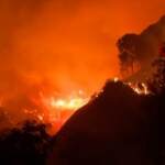 Incendi, da gennaio in fumo 51mila ettari: come 73mila campi calcio