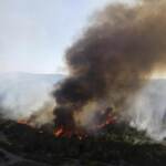 La Grecia devastata dagli incendi