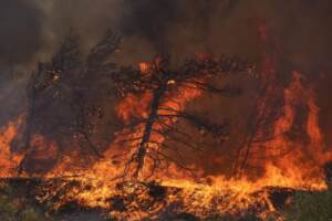 Incendi, Grecia devastata dai roghi: la fotogallery