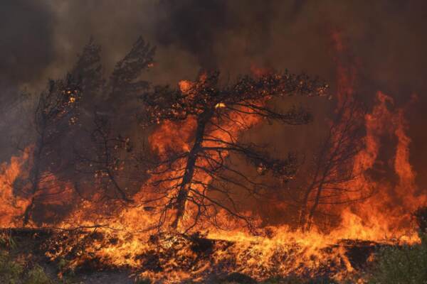 Incendi in Grecia, arrestati 79 piromani