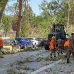 Maltempo, a Milano esercito in azione per sgomberare strade da alberi