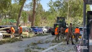 Maltempo, a Milano esercito in azione per sgomberare strade da alberi