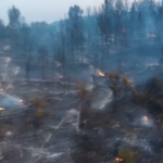 Incendi: in Sicilia, Calabria e Puglia oltre 1.600 interventi di soccorso