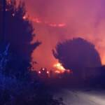 Incendi Palermo, in fiamme monte Gradara: evacuati villeggianti