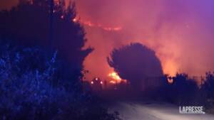 Incendi Palermo, in fiamme monte Gradara: evacuati villeggianti