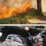 Crisi climatica in Cdm, Musumeci: “Tropicalizzazione in Italia”