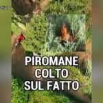 Calabria, piromane ripreso da droni: il video pubblicato dal governatore Occhiuto