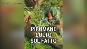 Calabria, piromane ripreso da droni: il video pubblicato dal governatore Occhiuto