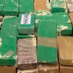 Livorno, scoperti 59 kg di cocaina in container: 2 arresti