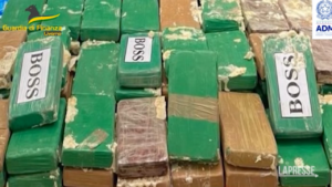 Livorno, scoperti 59 kg di cocaina in container: 2 arresti