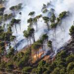 Incendi, in Sicilia attivi 13 fronti di fuoco da Palermo a Siracusa