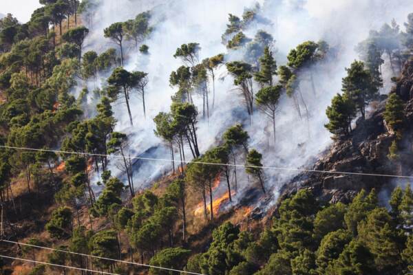 Canadair in volo sul palermitano, Altofonte in fiamme