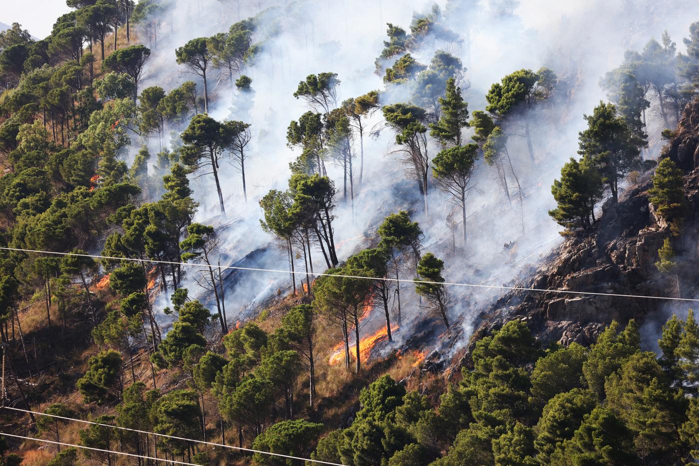 Canadair in volo sul palermitano, Altofonte in fiamme