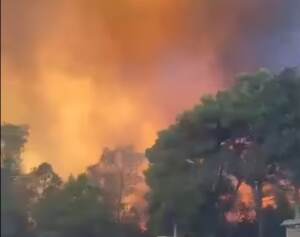 Incendi, a fuoco pineta di Ugento nel Salento